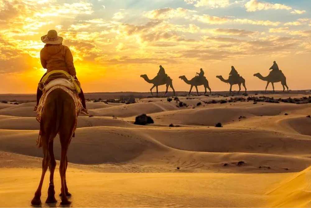 Desert Safari Etiquette: Do’s and Don’ts