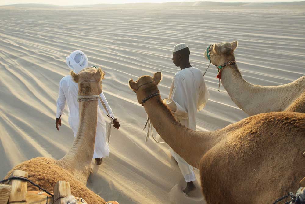 Qatar’s desert: Combination of geographical features, cultural significance